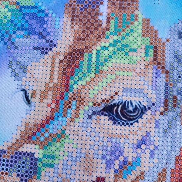 TA-212 Rainbow Giraffe (24*32 cm), bead embroidery kit of the picture