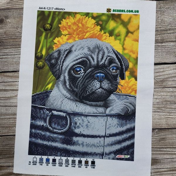 А4-К-1217 Мопс, набор для вышивки бисером картины собакой А4-К-1217 фото