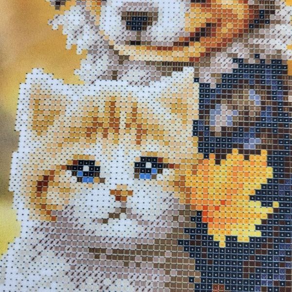 ЗПТ-041 Inseparable Friends (25*39 cm), bead embroidery kit of the picture with a cat and a dog