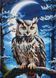 ЗПТ-039 Eagle Owl (30*42 cm), bead embroidery kit of the picture