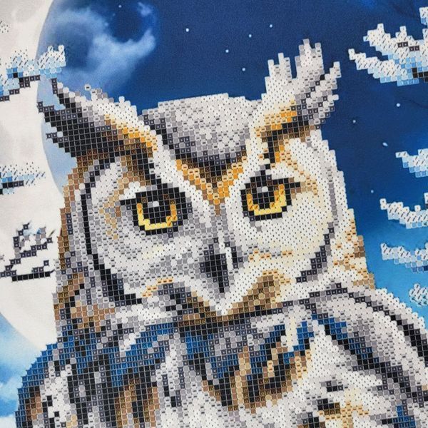 ЗПТ-039 Eagle Owl (30*42 cm), bead embroidery kit of the picture