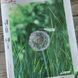 ТА-303 Dandelion and Dragonfly (24*32 cm), bead embroidery kit of the picture