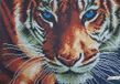 А4-К-510 Blue-eyed Tiger (21*29,7 cm), bead embroidery kit of the picture