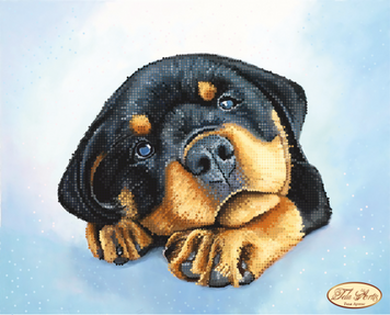 ТА-226 Daisy the Rottweiler Puppy (24*30 cm), bead embroidery pattern of the picture