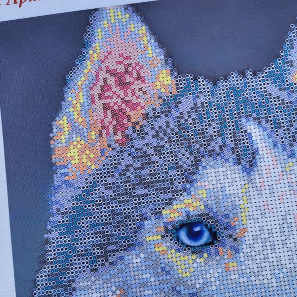 ТА-376 Хаскі (24*32 см), набір для вишивання бісером картини з собакою ТА-376 фото