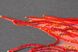 AB-754 Червоне золото, набір для вишивання бісером рибки на натуральному художньому холсті AB-754 фото 5