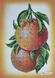 А4-К-1010 Грейпфруты, схема для вышивки бисером картины схема-ак-А4-К-1010 фото 1