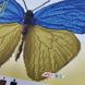 А5-Д-478 Український метелик, схема для вишивання бісером картини схема-ак-А5-Д-478 фото 3