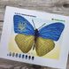 А5-Д-478 Український метелик, схема для вишивання бісером картини схема-ак-А5-Д-478 фото 5