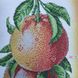 А4-К-1010 Грейпфруты, схема для вышивки бисером картины схема-ак-А4-К-1010 фото 6