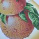 А4-К-1010 Грейпфруты, схема для вышивки бисером картины схема-ак-А4-К-1010 фото 3