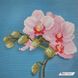 ММЦ-025 Рожева орхідея, набір для вишивання бісером картини ММЦ-025 фото 1