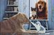 ТТ017 Faithful Friends (63*42 cm), bead embroidery kit of the picture