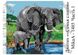 1485 Диптих Сім'я слонів, набір для вишивання бісером модульної картини 1485 фото 1