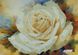 ММЦ-010 Кремова троянда, набір для вишивання бісером картини ММЦ-010 фото 1
