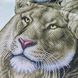 Т-1192 Любовь в Саванне, набор для вышивки бисером картины со львами Т-1192 фото 7