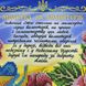 А4Р_620 Молитва за волонтерів, схема для вишивання бісером картини схема-вр-А4Р_620 фото 2