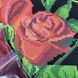 СВ34 Червоні троянди, набір для вишивання бісером шопера СВ34 фото 9