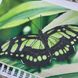 ММЖМ-004 Зелений метелик, набір для вишивання бісером картини ММЖ-004 фото 3