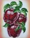 А4-К-1012 Макінтош, набір для вишивання бісером картини з яблуками А4-К-1012 фото 1