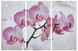 ТК099 Ніжна рожева орхідея, набір для вишивки бісером модульної картини ТК099 фото 1