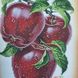 А4-К-1012 Макінтош, набір для вишивання бісером картини з яблуками А4-К-1012 фото 5