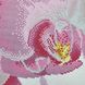ТК099 Ніжна рожева орхідея, набір для вишивки бісером модульної картини ТК099 фото 14