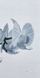 ТК103 Монохромна сіра орхідея (триптих), набір для вишивки бісером модульної картини ТК103 фото 4