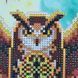 КВ_3013 Owl (29,5*29,5 cm), bead embroidery kit of the picture
