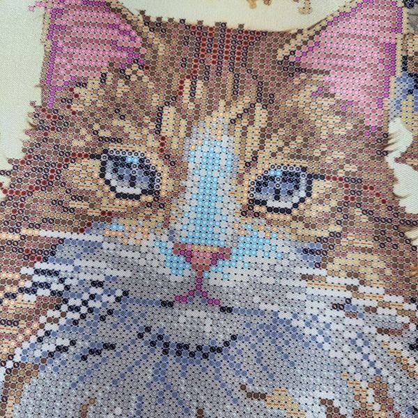 ТК-110 Fluffy Beauty (24*48 cm), bead embroidery kit of the picture with a cat