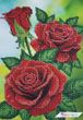 А5-Д-235 Червоні троянди, набір для вишивання бісером картини