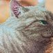 Т-1326 Пухнаста парочка, набір для вишивання бісером картини з котами Т-1326 фото 5