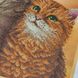 Т-1326 Пухнаста парочка, набір для вишивання бісером картини з котами Т-1326 фото 9