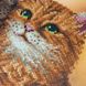 Т-1326 Пухнаста парочка, набір для вишивання бісером картини з котами Т-1326 фото 8