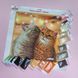 Т-1326 Пухнаста парочка, набір для вишивання бісером картини з котами Т-1326 фото 2