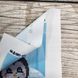 А6-Д-081 Little Penguin (10,5*15 cm), bead embroidery picture kit