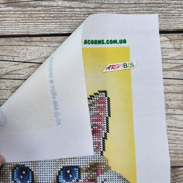А5-Д-446 Cat in Glasses (14,8*21 cm), bead embroidery kit of the picture