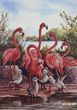 А4-К-1330 Flamingo (21*29,7 cm), bead embroidery kit of the picture