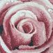 ЗПК-047 Рожева троянда, набір для вишивання бісером картини ЗП 0249 фото 5