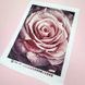ЗПК-047 Рожева троянда, набір для вишивання бісером картини ЗП 0249 фото 3