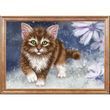 КС-043 Kitten (39*27 cm), bead embroidery kit of the picture