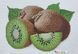 А5-Д-131 Kiwi (14,8*21 cm), bead embroidery kit for the picture