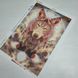 ТК-095 Guardian of Dreams (30*45 cm), bead embroidery kit of a picture with a wolf