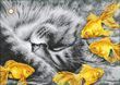 СЛ-3444 Золотые мечты (27*37 см), набор для вышивки бисером картины с котом и золотыми рыбками СЛ-3444 фото