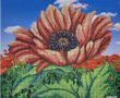 414 Poppy in the Field A3, bead embroidery kit of the picture