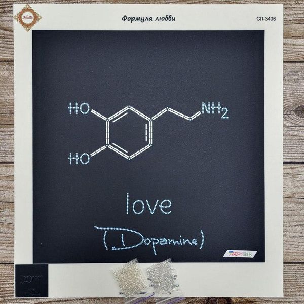 СЛ-3406 Формула любви, набор для вышивки бисером картины СЛ-3406 фото