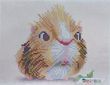 TD-020 Guinea Pig (17*23 cm), bead embroidery kit of the picture