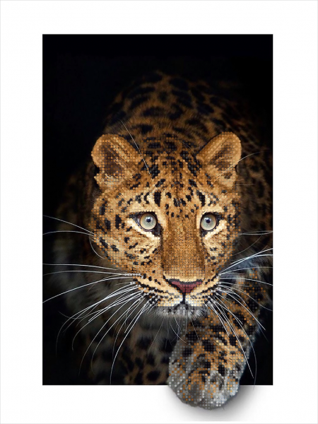 ТА-463 Цікавість, набір для вишивання бісером картини з леопардом ТА-463 фото