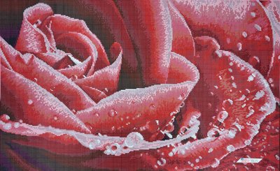 ЗПК-002 Червона троянда, набір для вишивання бісером картини ЗПК-002 фото