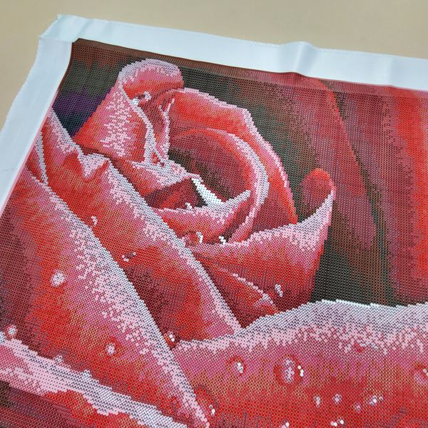 ЗПК-002 Красная роза, набор для вышивки бисером картины ЗП 0002 фото